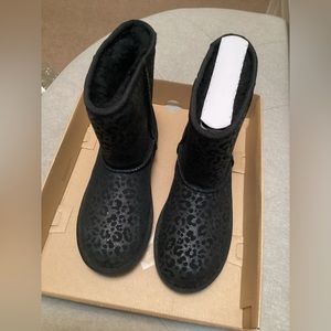 Uggs,New.
